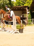 DSC09590 DSC09590