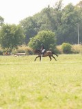 DSC00519
