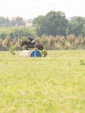 DSC00520