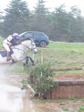 IMG_0124 IMG_0124