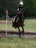 IMG_3715 IMG_3715
