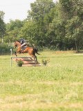DSC00531