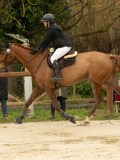 DSC09158 DSC09158
