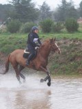 IMG_0189 IMG_0189