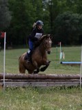 IMG_3794 IMG_3794