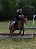 IMG_3795 IMG_3795