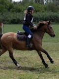 IMG_3796 IMG_3796