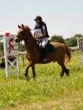 DSC01324 DSC01324
