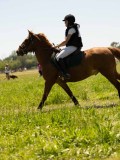 DSC01326 DSC01326
