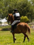 DSC01328 DSC01328