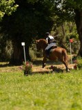 DSC01329 DSC01329