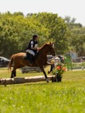 DSC01334 DSC01334