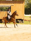 DSC09617 DSC09617