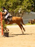 DSC09623 DSC09623