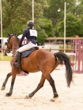 DSC03735 DSC03735