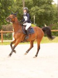 DSC03742 DSC03742