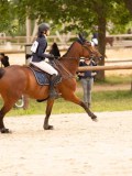 DSC03749 DSC03749