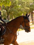 DSC03758 DSC03758