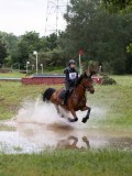 IMG_2365 IMG_2365