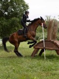 IMG_2368 IMG_2368