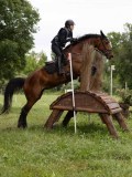 IMG_2369 IMG_2369