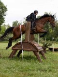 IMG_2370 IMG_2370