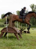 IMG_2371 IMG_2371
