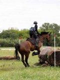 IMG_2372 IMG_2372