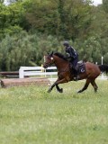 IMG_2375 IMG_2375