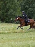 IMG_2376 IMG_2376