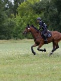 IMG_2377 IMG_2377