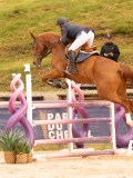 DSC02828 DSC02828