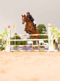 DSC02835 DSC02835