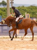 DSC02838 DSC02838