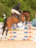 DSC04246 DSC04246