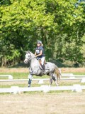 DSC08390 DSC08390