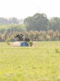 DSC00774