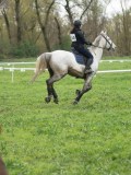 24_04040 24_04040