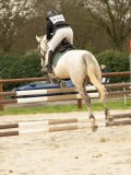 DSC02534 DSC02534