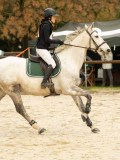 DSC02539 DSC02539