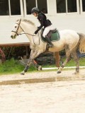 DSC02548 DSC02548