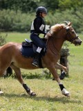 IMG_3778 IMG_3778