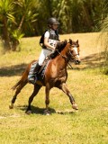 DSC00639 DSC00639