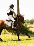 DSC00646 DSC00646