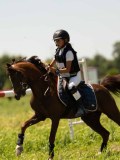 DSC01338 DSC01338
