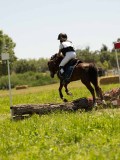 DSC01343 DSC01343