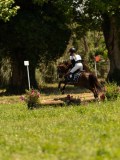 DSC01346 DSC01346