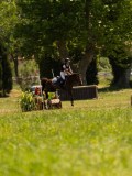 DSC01354 DSC01354