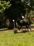 DSC01355 DSC01355