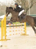DSC02917